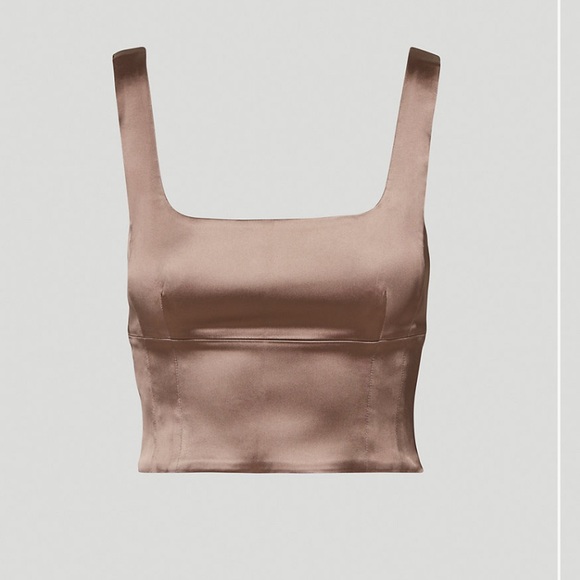 Aritzia Tops - Aritzia Wilfred Shine Bustier Top